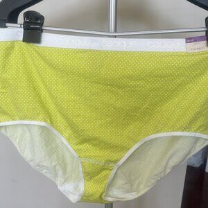 Cacique full brief